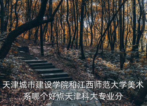 天津城市建設(shè)學(xué)院和江西師范大學(xué)美術(shù)系哪個(gè)好點(diǎn)天津科大專業(yè)分