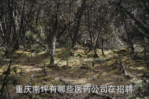 重慶南坪有哪些醫(yī)藥公司在招聘