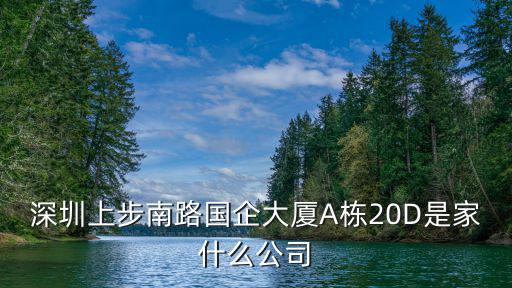深圳市領先東方科技有限公司，求助深圳有如此欠薪老板殺了他是錯還是對幫朋友轉