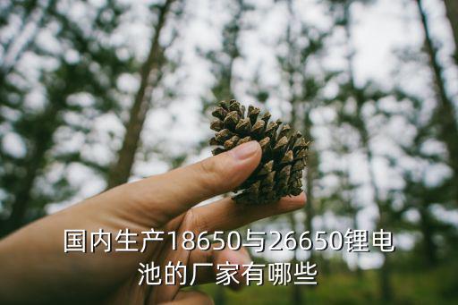 深圳市鵬達盛電子制品有限公司，國內生產18650與26650鋰電池的廠家有哪些
