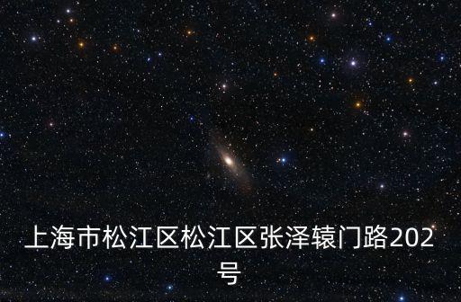 上海市松江區松江區張澤轅門路202號