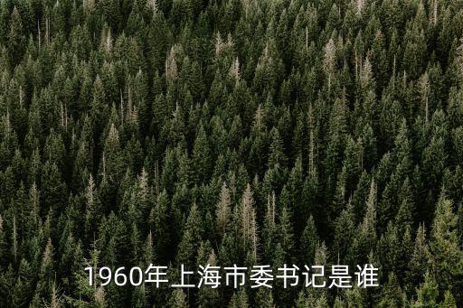 1960年上海市委書(shū)記是誰(shuí)