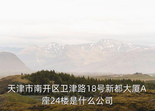 天津市南開區衛津路18號新都大廈A座24樓是什么公司