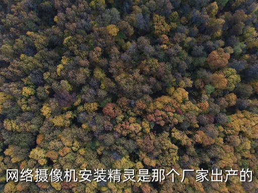 網(wǎng)絡(luò)攝像機安裝精靈是那個廠家出產(chǎn)的