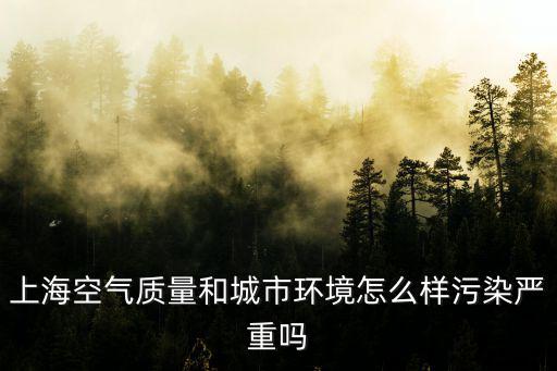 上海市環(huán)境空氣質(zhì)量，上海空氣質(zhì)量和城市環(huán)境怎么樣污染嚴(yán)重嗎