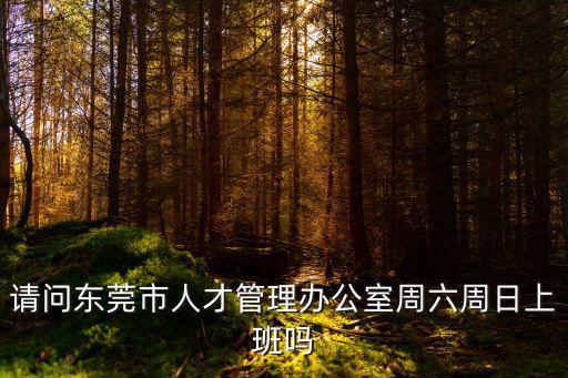 請問東莞市人才管理辦公室周六周日上班嗎