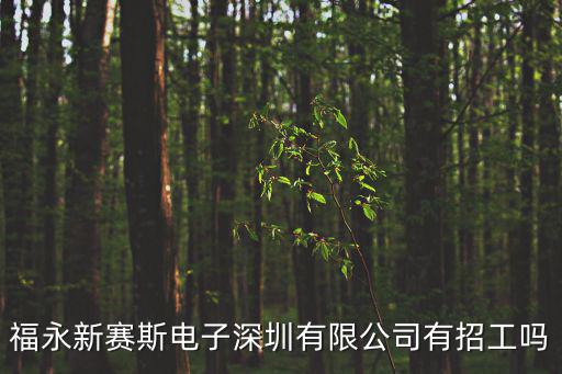 福永新賽斯電子深圳有限公司有招工嗎