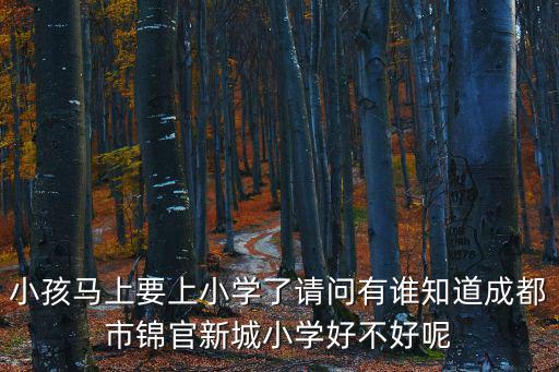 小孩馬上要上小學(xué)了請問有誰知道成都市錦官新城小學(xué)好不好呢