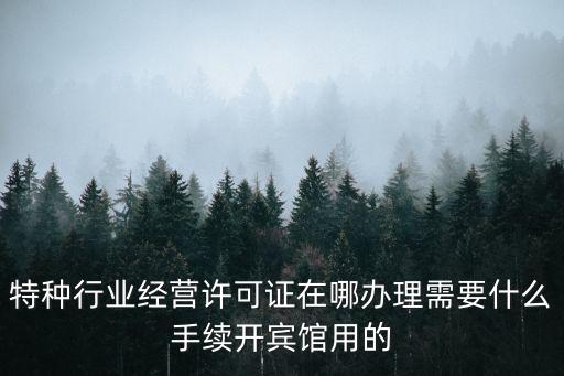 天津市特種行業許可證，在天津搞復印辦個特種行業許可證得多少錢
