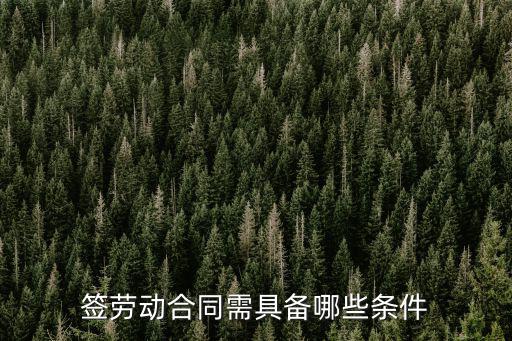簽勞動合同需具備哪些條件