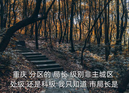 重慶 分區的 局長 級別非主城區 處級 還是科級 我只知道 市局長是