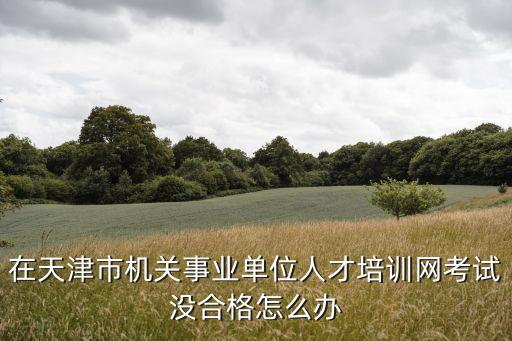 在天津市機關(guān)事業(yè)單位人才培訓(xùn)網(wǎng)考試沒合格怎么辦