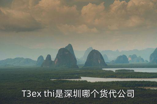 T3ex thi是深圳哪個(gè)貨代公司