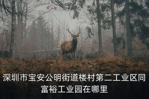 深圳市寶安公明街道樓村第二工業區同富裕工業園在哪里