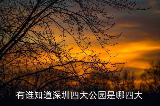 有誰知道深圳四大公園是哪四大