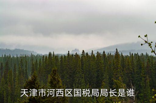 天津市河西區(qū)國稅局局長是誰