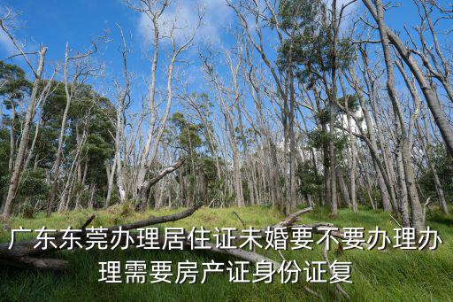 廣東東莞辦理居住證未婚要不要辦理辦理需要房產(chǎn)證身份證復(fù)