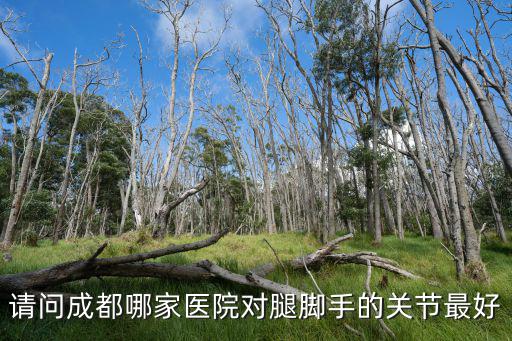 請問成都哪家醫(yī)院對腿腳手的關(guān)節(jié)最好