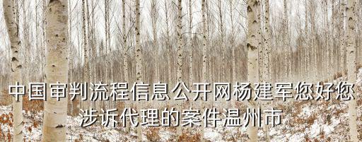 中國審判流程信息公開網楊建軍您好您涉訴代理的案件溫州市