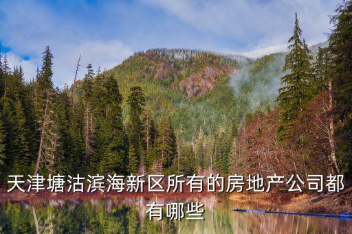 天津市遠東房地產開發公司，遠東房地產公司總裁是誰