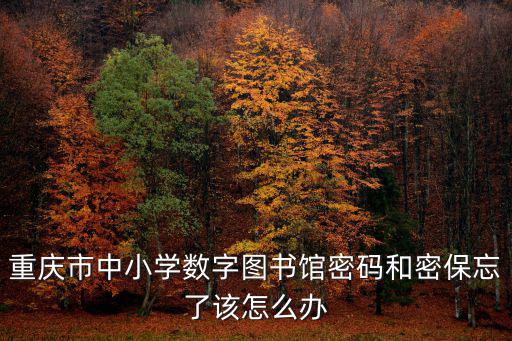 重慶市中小學(xué)數(shù)字圖書(shū)館密碼和密保忘了該怎么辦
