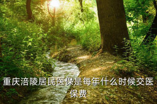 重慶涪陵居民醫保是每年什么時候交醫保費