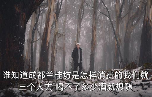 誰知道成都蘭桂坊是怎樣消費的我們就三個人去 喝不了多少酒就想隨