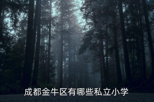 成都金牛區有哪些私立小學