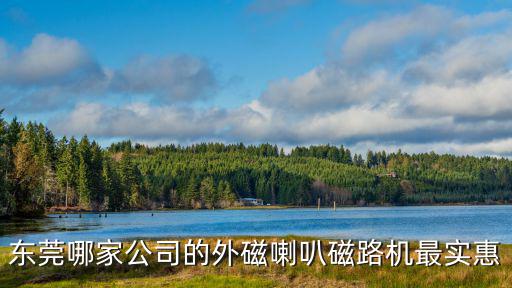 東莞哪家公司的外磁喇叭磁路機最實惠