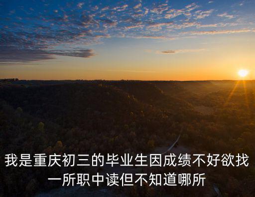 我是重慶初三的畢業(yè)生因成績不好欲找一所職中讀但不知道哪所