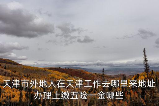 天津市外地人在天津工作去哪里來地址辦理上繳五險一金哪些