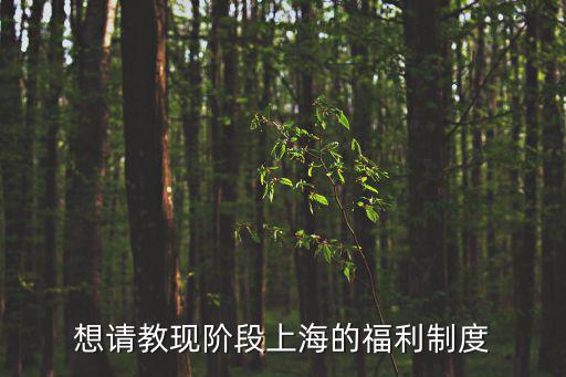 想請教現階段上海的福利制度