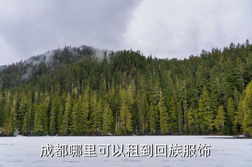 成都哪里可以租到回族服飾