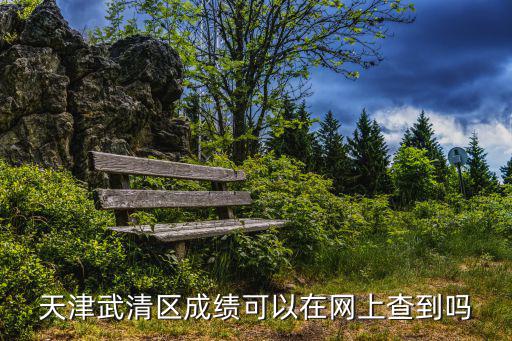 天津武清區成績可以在網上查到嗎
