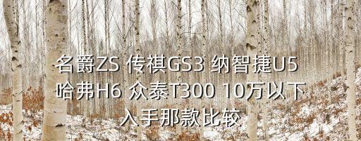 傳祺Gs3二手成都市，名爵ZS 傳祺GS3 納智捷U5 哈弗H6 眾泰T300 10萬以下入手那款比較