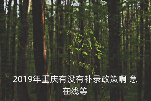 2019年重慶有沒有補錄政策啊 急在線等