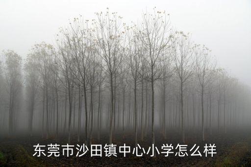 東莞沙田民辦小學學校，東莞沙田東方明珠學校小學部怎么樣老師有責任心嗎