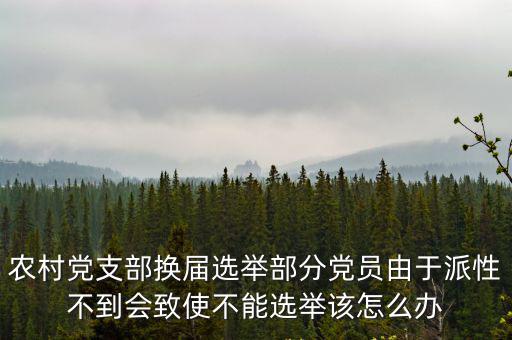 農村黨支部換屆選舉部分黨員由于派性不到會致使不能選舉該怎么辦