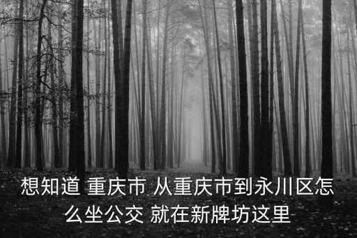 想知道 重慶市 從重慶市到永川區(qū)怎么坐公交 就在新牌坊這里