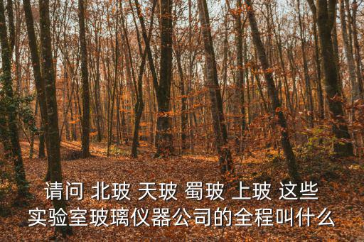 請問 北玻 天玻 蜀玻 上玻 這些實驗室玻璃儀器公司的全程叫什么