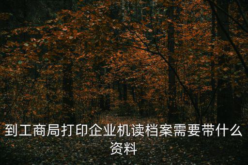 上海市工商局機(jī)讀檔案外檔，到工商局打印企業(yè)機(jī)讀檔案需要帶什么資料