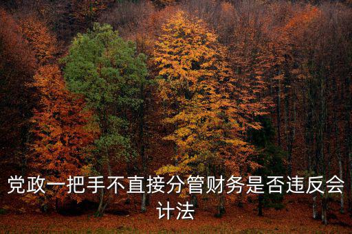 成都市 一把手 五不直接管，黨政一把手不直接分管財務是否違反會計法