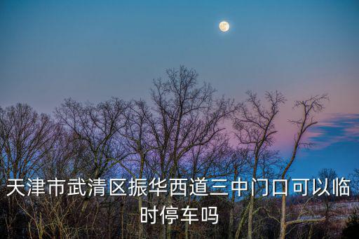 天津市武清區振華西道三中門口可以臨時停車嗎