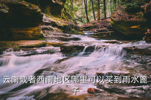 云南或者西南地區哪里可以買到雨水篦子