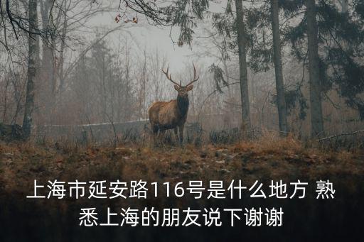 上海市延安路116號是什么地方 熟悉上海的朋友說下謝謝
