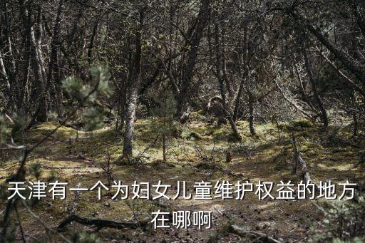 天津有一個為婦女兒童維護權益的地方在哪啊