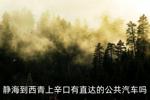 靜海到西青上辛口有直達的公共汽車嗎