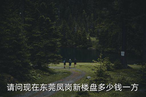 請問現在東莞鳳崗新樓盤多少錢一方