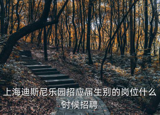 上海迪斯尼樂園招應屆生別的崗位什么時候招聘