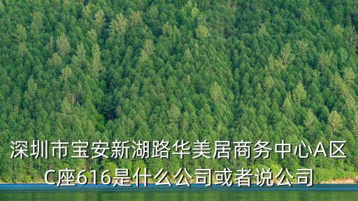 深圳市寶安新湖路華美居商務(wù)中心A區(qū)C座616是什么公司或者說公司